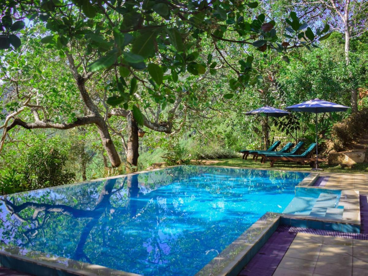 Hôtel Aqua Exotica Wellness Retreat à Gampola Extérieur photo